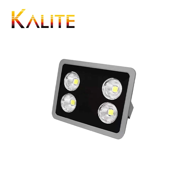 COB LED Flood Light