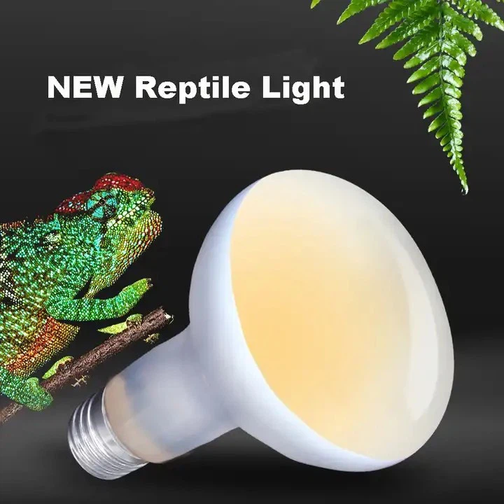 50w Reptile Light Bulbs 50w Reptile Light Bulbs