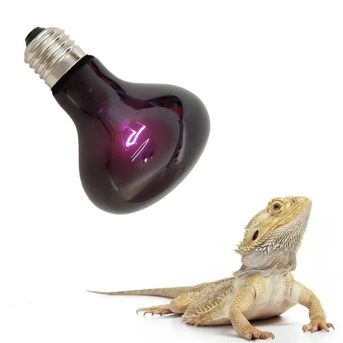 100w Reptile Moonlight Bulb UVA Night Bulb 100w Reptile Moonlight Bulb UVA Night Bulb