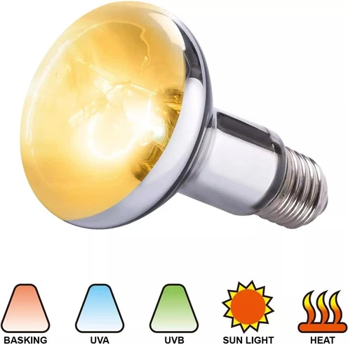 R95 UV Reptile Lamp Bulb 80W R95 UV Reptile Lamp Bulb 80W