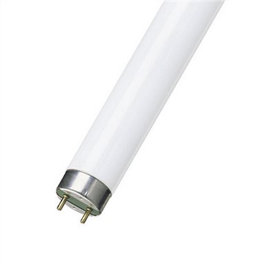 T8 Tube Light 4ft