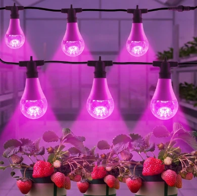 LED Grow Light Bulbs Kit E26 E27 Base 15W A25 Full Spectrum