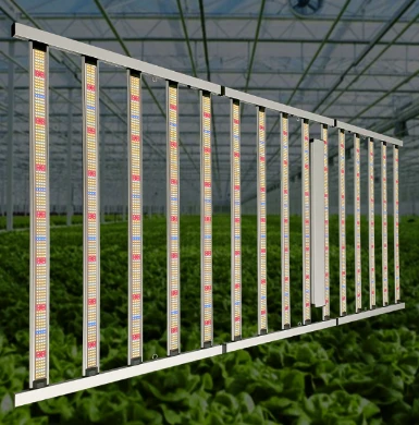 8 Feet 2.4M Large Vertical Farming 1500W 15 Bars Full Spectrum LED Grow Light Lm281B Samsung Lm301h Evo Led Grow Light